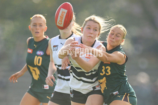 Coates Talent League U18 Girls 2024 Round 08 - Northern Knights v Tasmania Devils - A-49645259