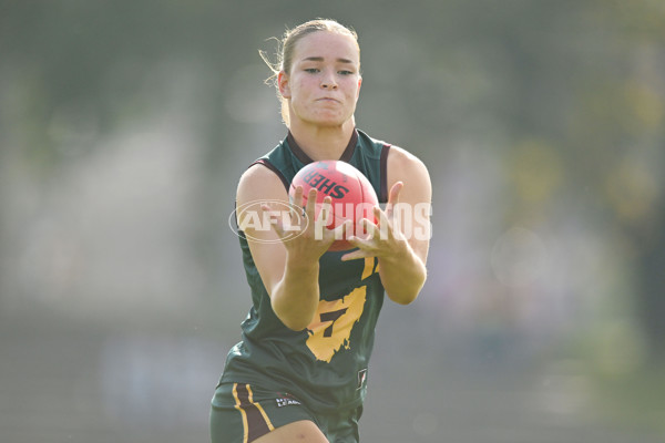 Coates Talent League U18 Girls 2024 Round 08 - Northern Knights v Tasmania Devils - A-49645260