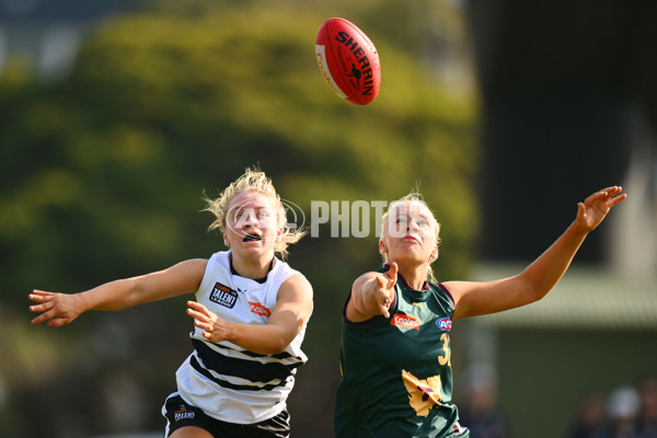Coates Talent League U18 Girls 2024 Round 08 - Northern Knights v Tasmania Devils - A-49645265
