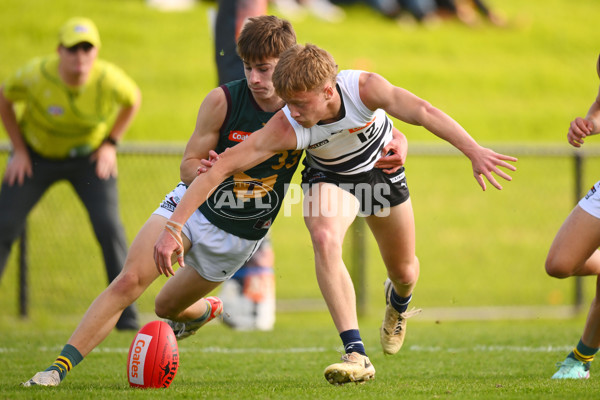 Coates Talent League U18 Boys 2024 Round 09 - Northern Knights v Tasmania Devils - A-49648163