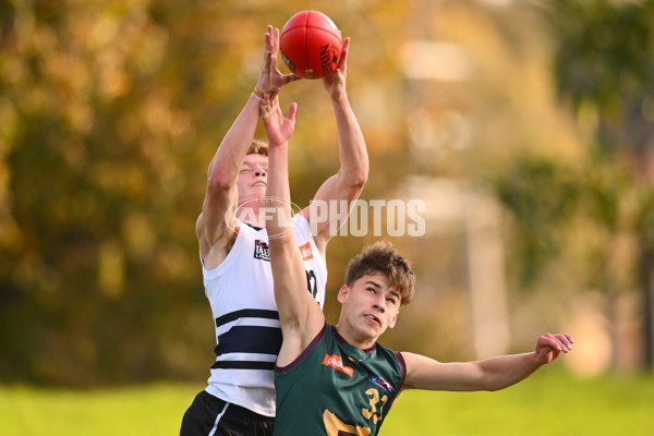 Coates Talent League U18 Boys 2024 Round 09 - Northern Knights v Tasmania Devils - A-49650793