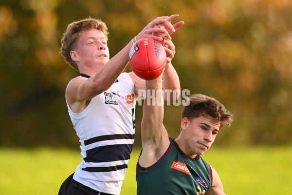 Coates Talent League U18 Boys 2024 Round 09 - Northern Knights v Tasmania Devils - A-49650794