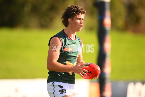 Coates Talent League U18 Boys 2024 Round 09 - Northern Knights v Tasmania Devils - A-49650807