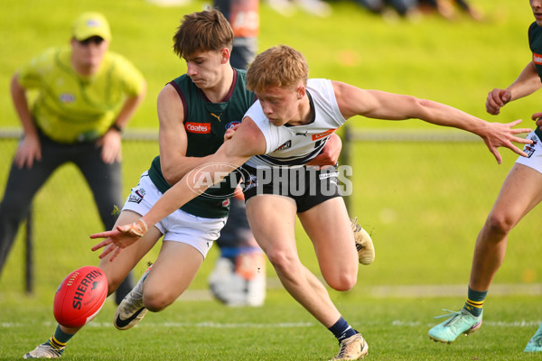 Coates Talent League U18 Boys 2024 Round 09 - Northern Knights v Tasmania Devils - A-49650894