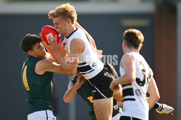 Coates Talent League U18 Boys 2024 Round 09 - Northern Knights v Tasmania Devils - A-49650940