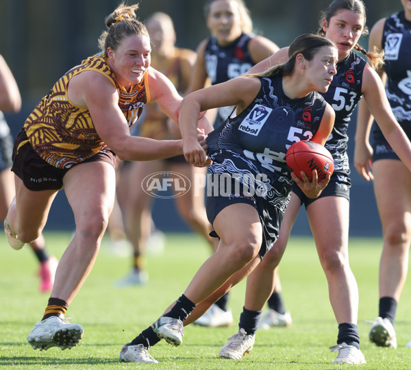 VFLW 2024 Round 10 - Carlton v Box Hill - A-49673631