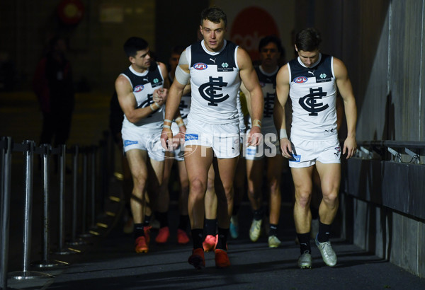 AFL 2024 Round 12 - Port Adelaide v Carlton - A-49821324