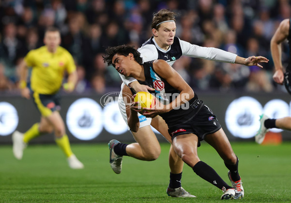 AFL 2024 Round 12 - Port Adelaide v Carlton - A-49821332