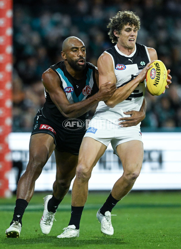 AFL 2024 Round 12 - Port Adelaide v Carlton - A-49821343