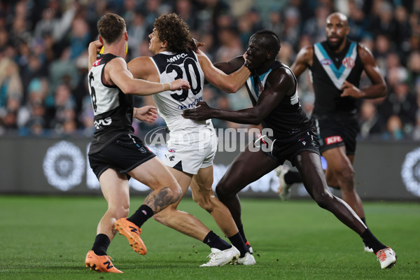 AFL 2024 Round 12 - Port Adelaide v Carlton - A-49821359