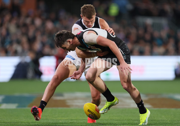 AFL 2024 Round 12 - Port Adelaide v Carlton - A-49821360