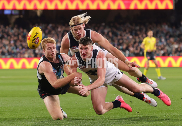 AFL 2024 Round 12 - Port Adelaide v Carlton - A-49821367
