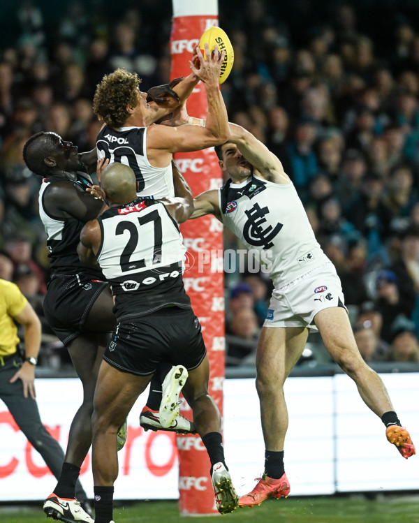 AFL 2024 Round 12 - Port Adelaide v Carlton - A-49821369