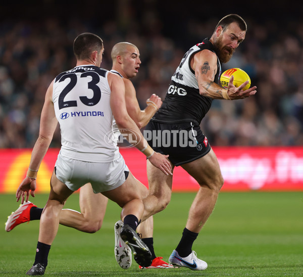 AFL 2024 Round 12 - Port Adelaide v Carlton - A-49821374
