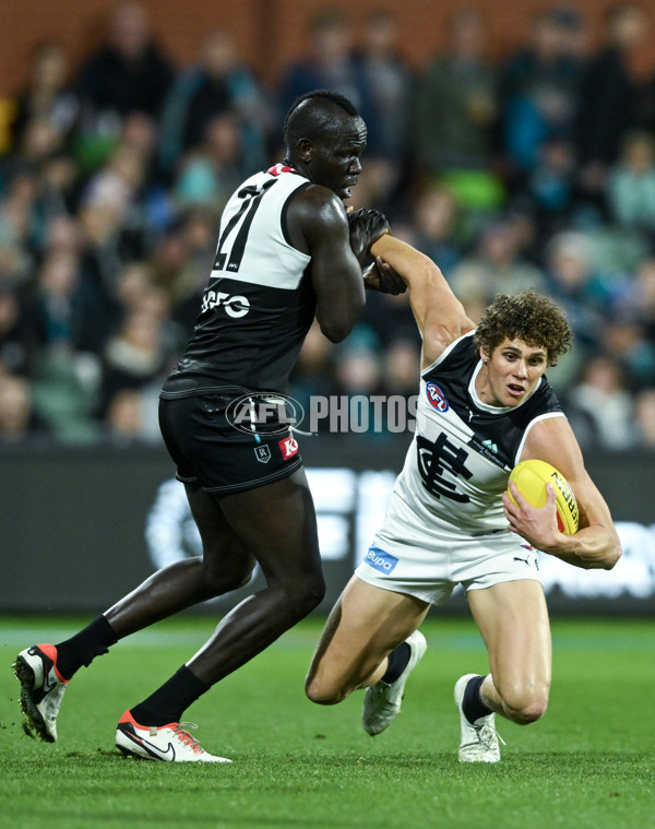 AFL 2024 Round 12 - Port Adelaide v Carlton - A-49821376
