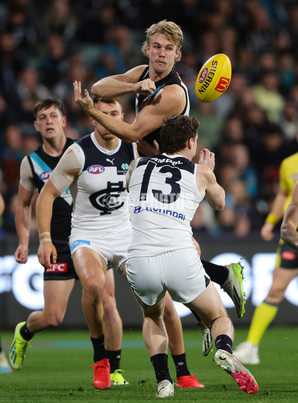 AFL 2024 Round 12 - Port Adelaide v Carlton - A-49836972