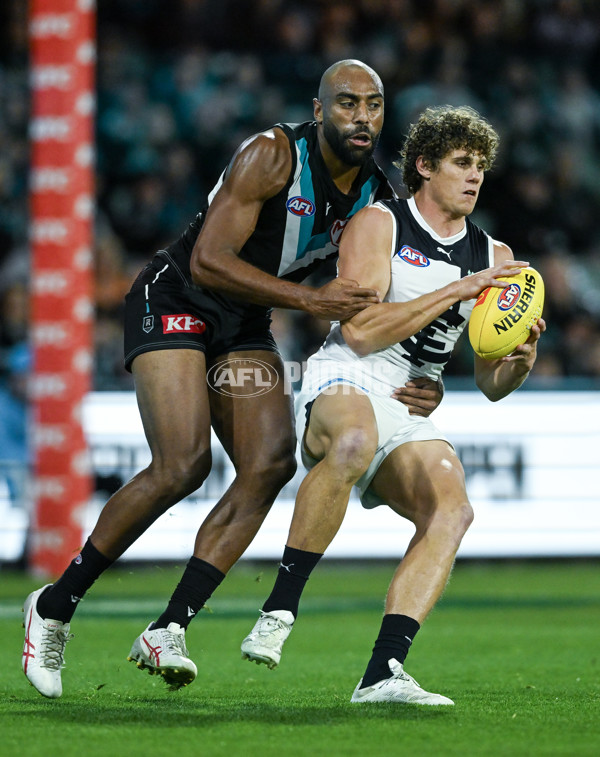 AFL 2024 Round 12 - Port Adelaide v Carlton - A-49836976