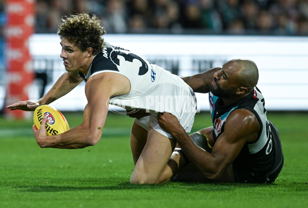 AFL 2024 Round 12 - Port Adelaide v Carlton - A-49836978