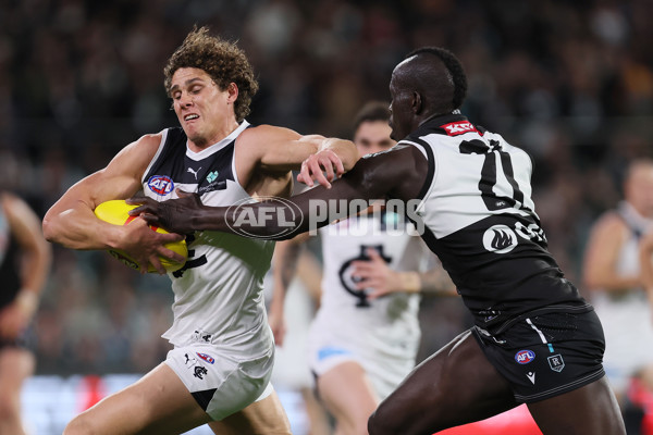 AFL 2024 Round 12 - Port Adelaide v Carlton - A-49836995