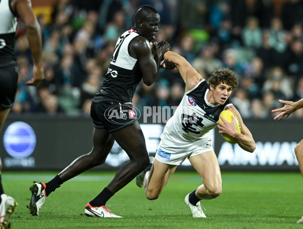AFL 2024 Round 12 - Port Adelaide v Carlton - A-49837009