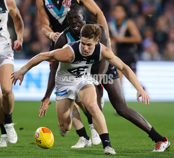 AFL 2024 Round 12 - Port Adelaide v Carlton - A-49837013