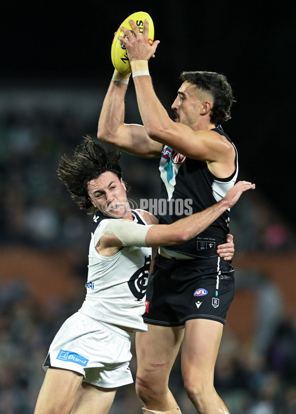 AFL 2024 Round 12 - Port Adelaide v Carlton - A-49837015