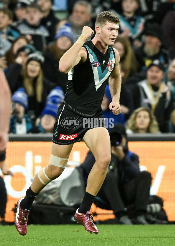 AFL 2024 Round 12 - Port Adelaide v Carlton - A-49837032