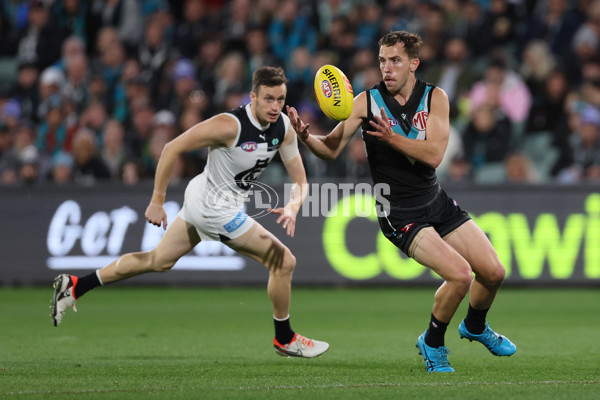 AFL 2024 Round 12 - Port Adelaide v Carlton - A-49837033