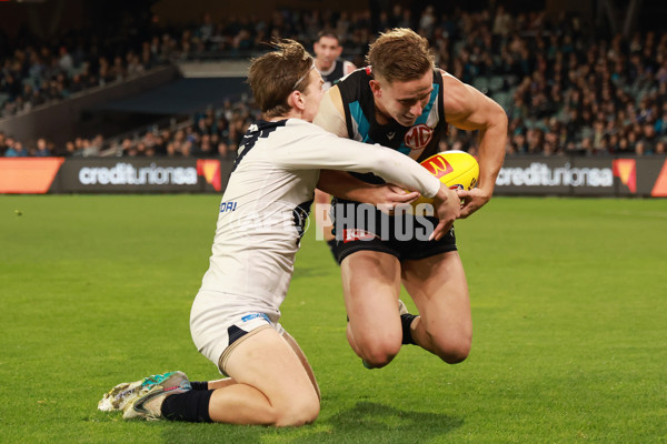 AFL 2024 Round 12 - Port Adelaide v Carlton - A-49837035