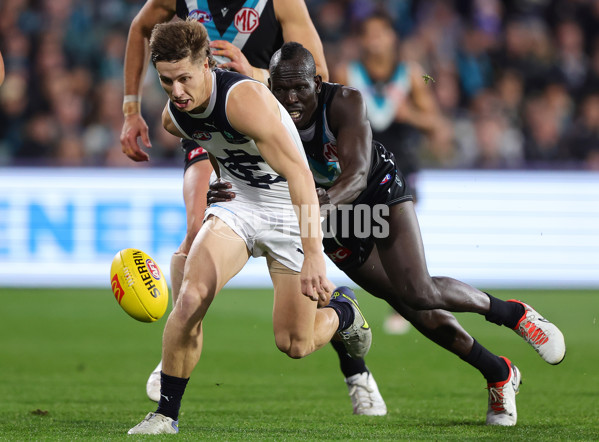 AFL 2024 Round 12 - Port Adelaide v Carlton - A-49840371