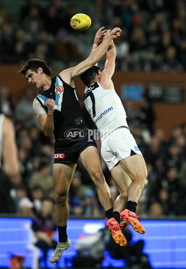 AFL 2024 Round 12 - Port Adelaide v Carlton - A-49840377