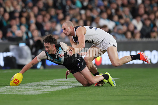 AFL 2024 Round 12 - Port Adelaide v Carlton - A-49840390