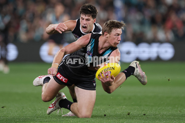AFL 2024 Round 12 - Port Adelaide v Carlton - A-49840405