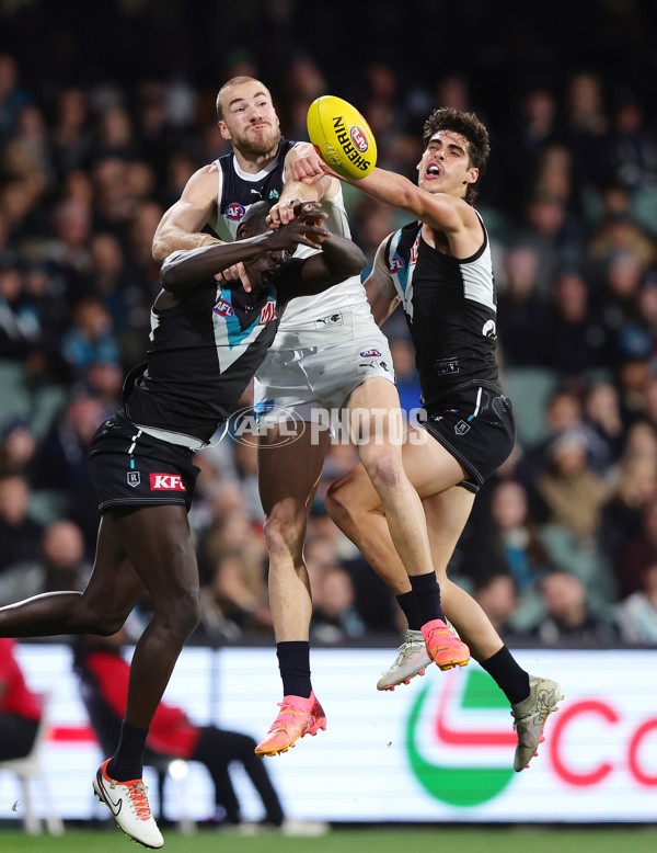 AFL 2024 Round 12 - Port Adelaide v Carlton - A-49840406