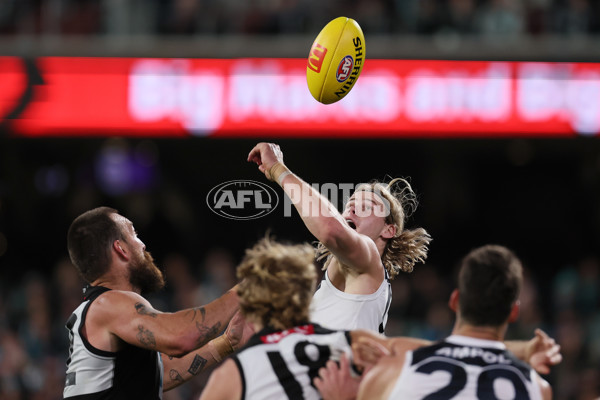 AFL 2024 Round 12 - Port Adelaide v Carlton - A-49840407