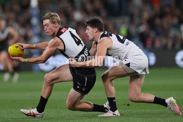 AFL 2024 Round 12 - Port Adelaide v Carlton - A-49840408