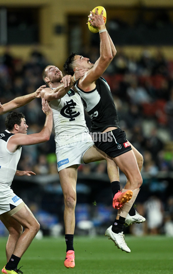 AFL 2024 Round 12 - Port Adelaide v Carlton - A-49840417