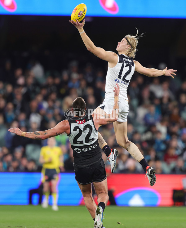AFL 2024 Round 12 - Port Adelaide v Carlton - A-49840422