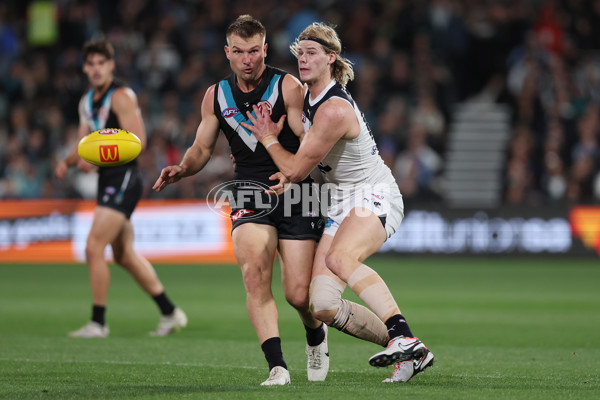 AFL 2024 Round 12 - Port Adelaide v Carlton - A-49840427