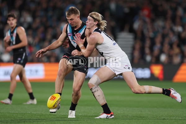 AFL 2024 Round 12 - Port Adelaide v Carlton - A-49840437