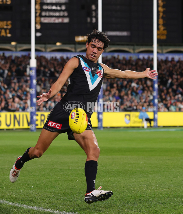 AFL 2024 Round 12 - Port Adelaide v Carlton - A-49840447