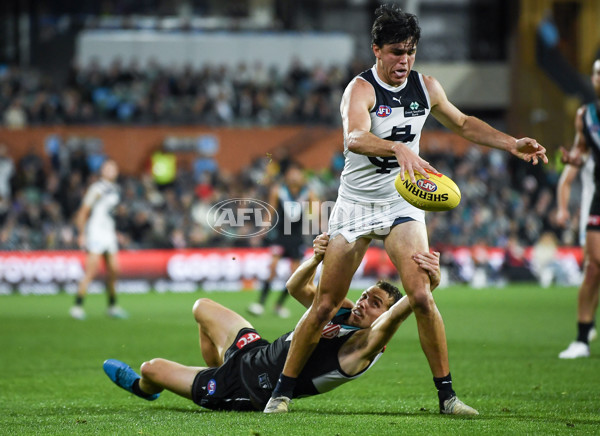 AFL 2024 Round 12 - Port Adelaide v Carlton - A-49840453