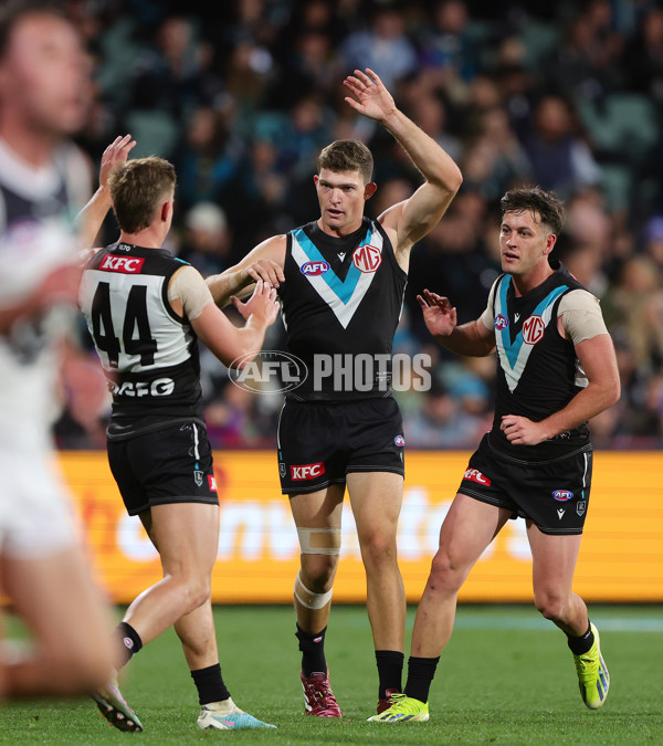 AFL 2024 Round 12 - Port Adelaide v Carlton - A-49840458