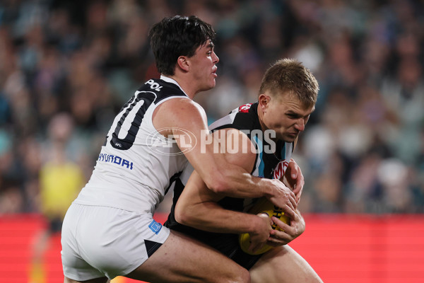 AFL 2024 Round 12 - Port Adelaide v Carlton - A-49840874