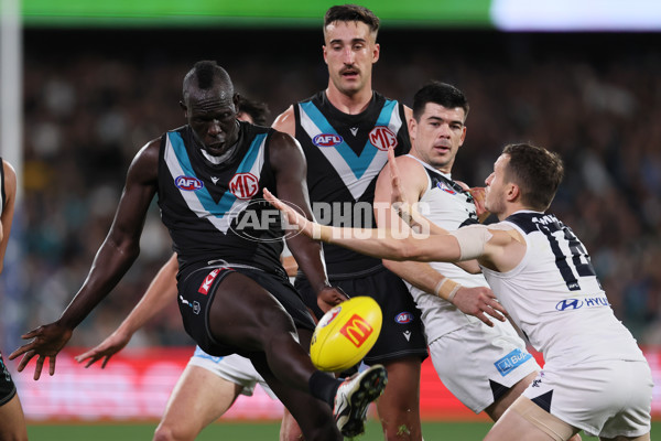AFL 2024 Round 12 - Port Adelaide v Carlton - A-49840893