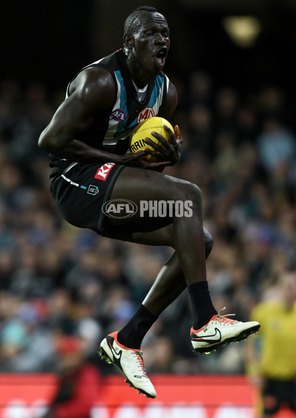 AFL 2024 Round 12 - Port Adelaide v Carlton - A-49840895