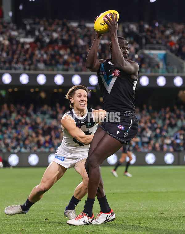 AFL 2024 Round 12 - Port Adelaide v Carlton - A-49840906