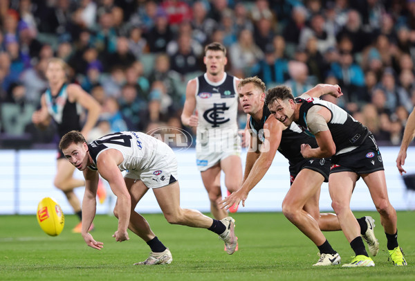 AFL 2024 Round 12 - Port Adelaide v Carlton - A-49840911
