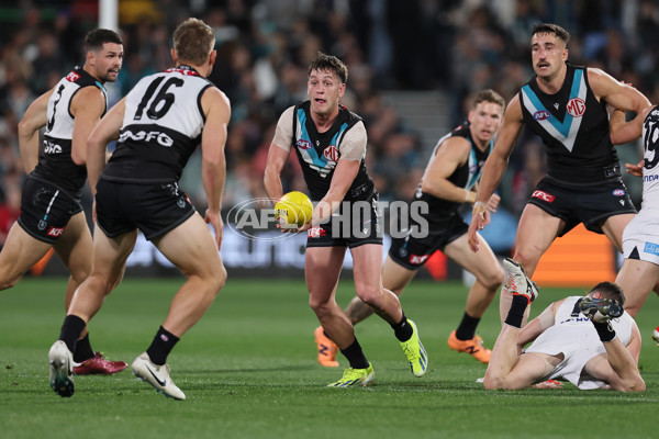 AFL 2024 Round 12 - Port Adelaide v Carlton - A-49840917