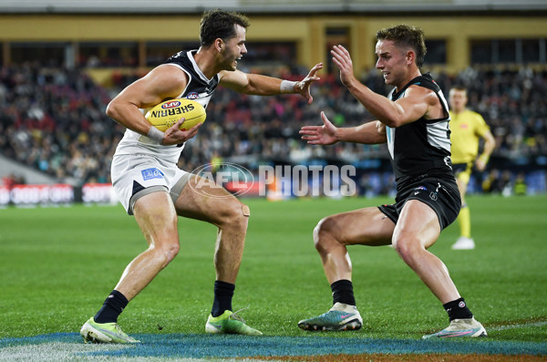 AFL 2024 Round 12 - Port Adelaide v Carlton - A-49840924